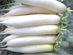 點此在新窗口瀏覽圖片